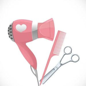 Mobile Hairdresser Kit